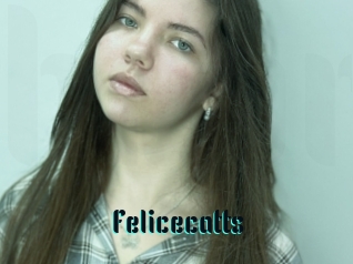 Felicecatts