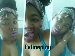 Felineplay