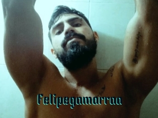 Felipegamarraa