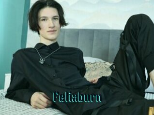 Felixburn