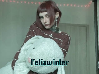 Felixwinter