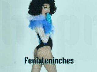 Fenixteninches