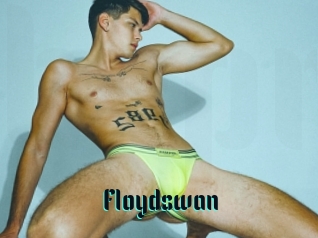 Floydswan
