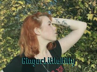 GingerLittleKitty