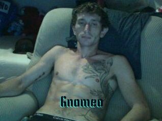 Gnomeo