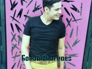 GonzaloNarvaes