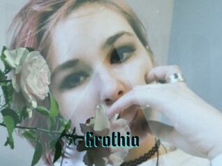 Grothia