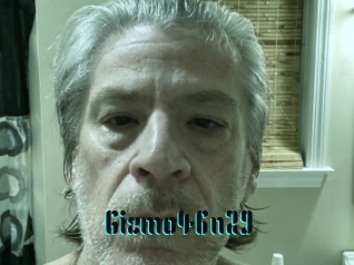 Gizmo46n29