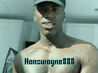Hanswayne888
