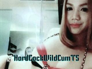 HardCockWildCumTS