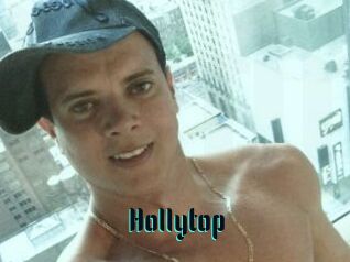 Hollytop