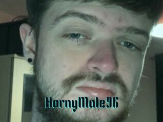 HornyMale96