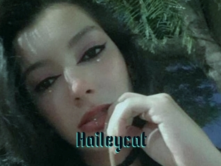 Haileycat
