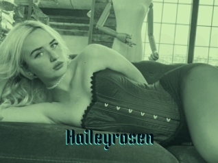 Haileyrosen