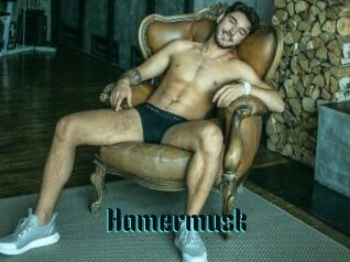 Hamermusk