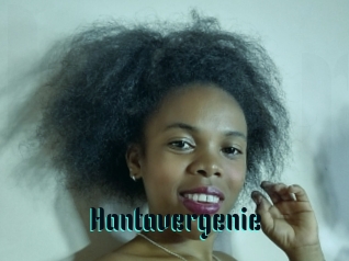 Hantavergenie