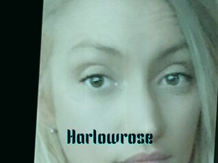 Harlowrose