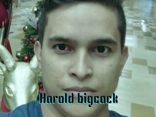 Harold_bigcock