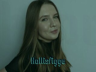 Hollisfigge