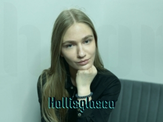 Hollisglasco