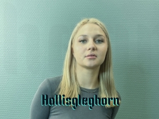 Hollisgleghorn