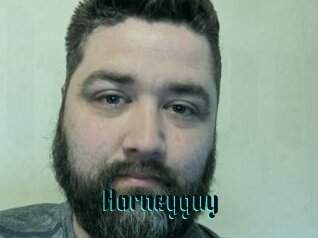 Horneyguy