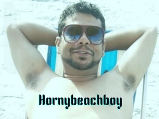 Hornybeachboy