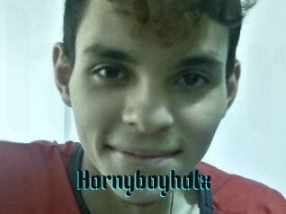 Hornyboyhotx