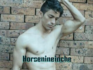 Horsenineinche