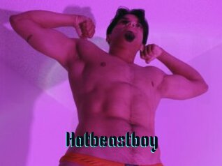 Hotbeastboy