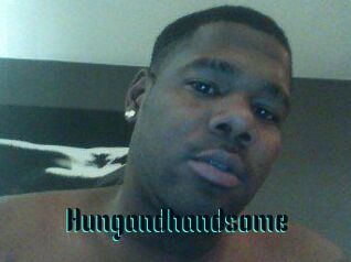 Hungandhandsome