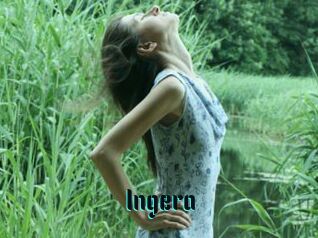 Ingera