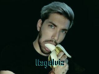 Itsgelviz