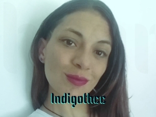 Indigothcc