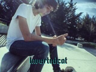 Invertedcat