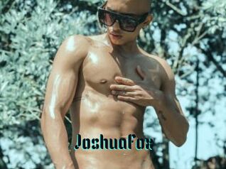 JoshuaFox