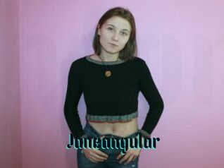 Janeangular