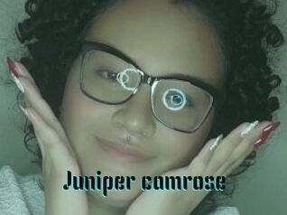 Juniper_camrose