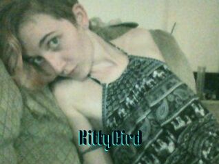 KittyBird