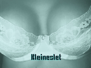 Kleineslet
