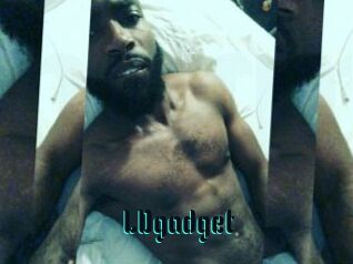 LDgadget