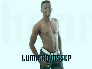 LUMIERDJOSSEP