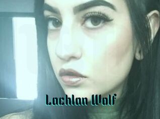 Lachlan_Wolf