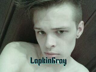 LapkinGray