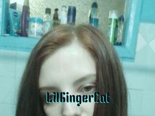 LilGingerCat