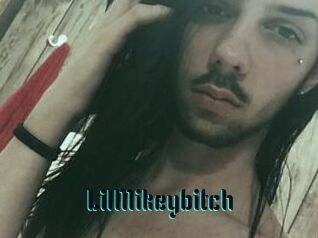 LilMikeybitch