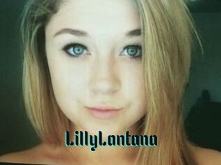 LillyLantana