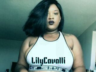 Lily_Cavalli
