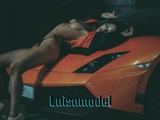 Luisamodel