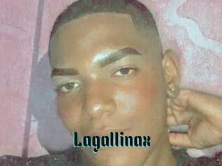 Lagallinax